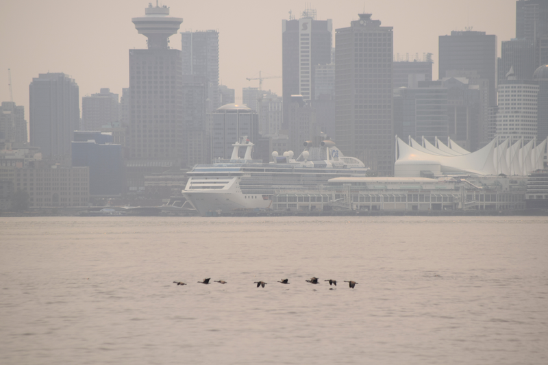 Illustration for article titled Hung around North Van today